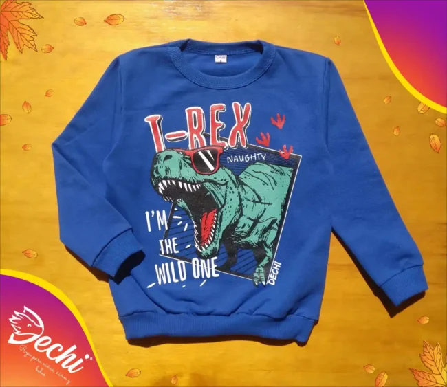 ropa para niños nene buzo dinosaurio azul invierno 2024