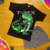 Remera Dinosaurio geometrico MC