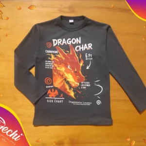 Remera Dragon charizard ML