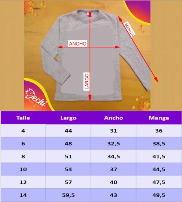 Remera Dragon charizard ML
